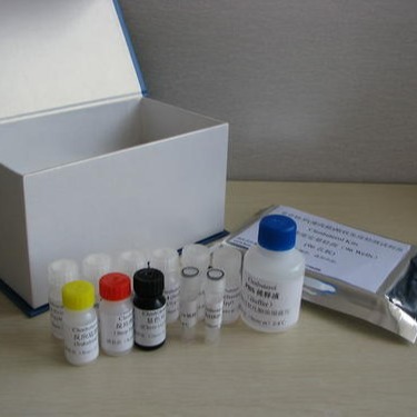 试剂盒 大鼠细胞间粘附分子2试剂盒 ICAM-2试剂盒 ELISA试剂盒 慧嘉生物
