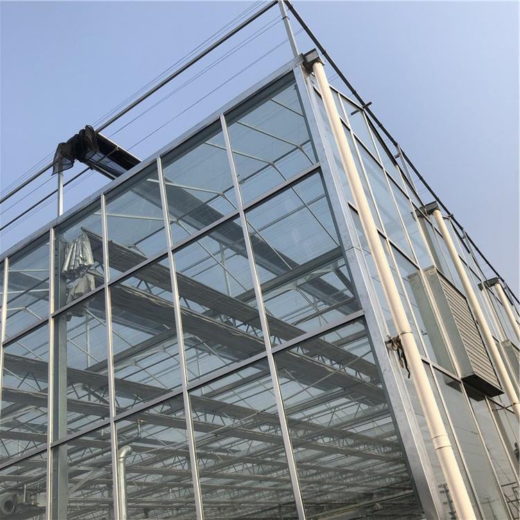 湖北农科院项目  智能玻璃温室  连栋温室建设  智能控制温室厂家