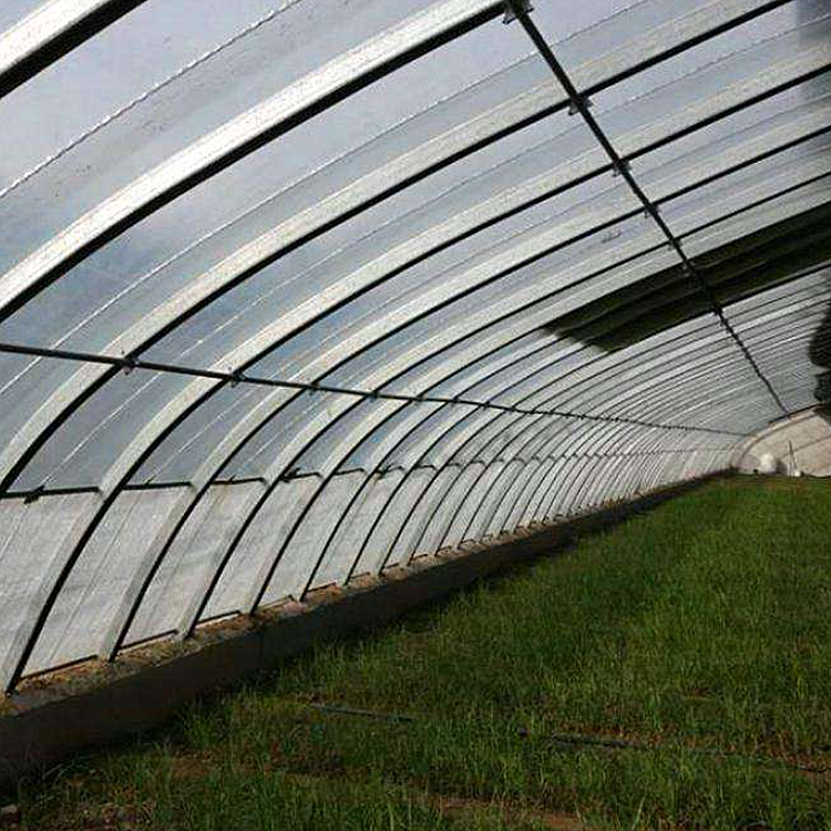 丞昊农业供应 遮雨大棚 草莓种植 几字钢日光温室 抗风抗压