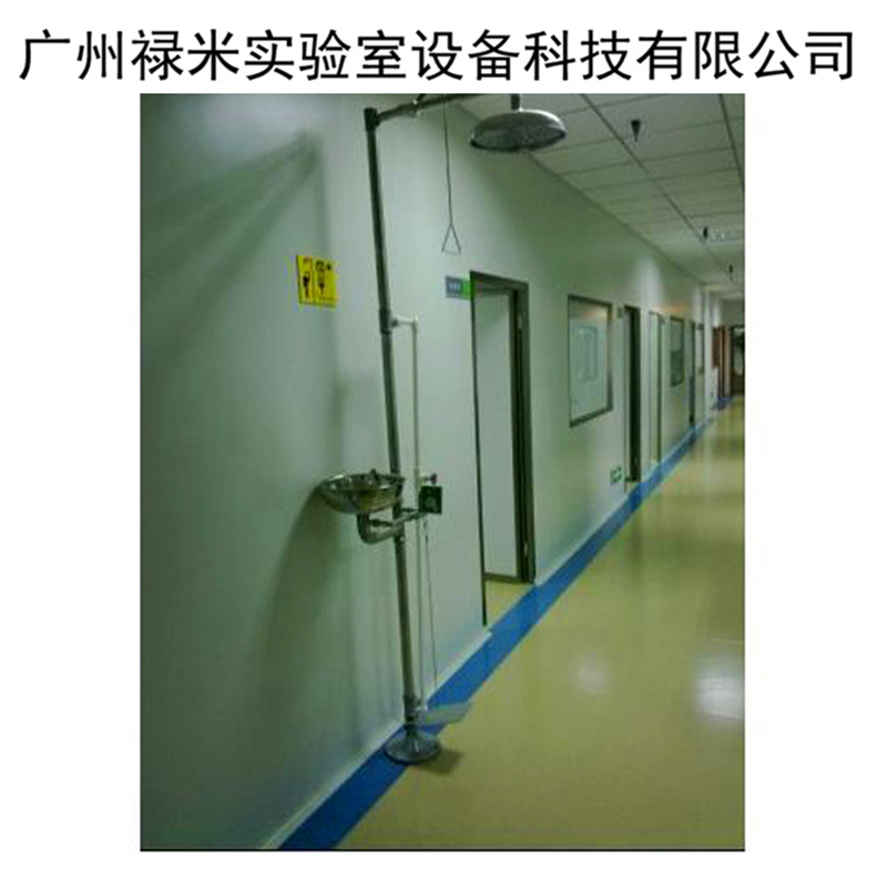 禄米 实验室供应洗眼器 不锈钢紧急喷淋洗眼器 紧急淋浴器厂家直销LUMI-LYQ22