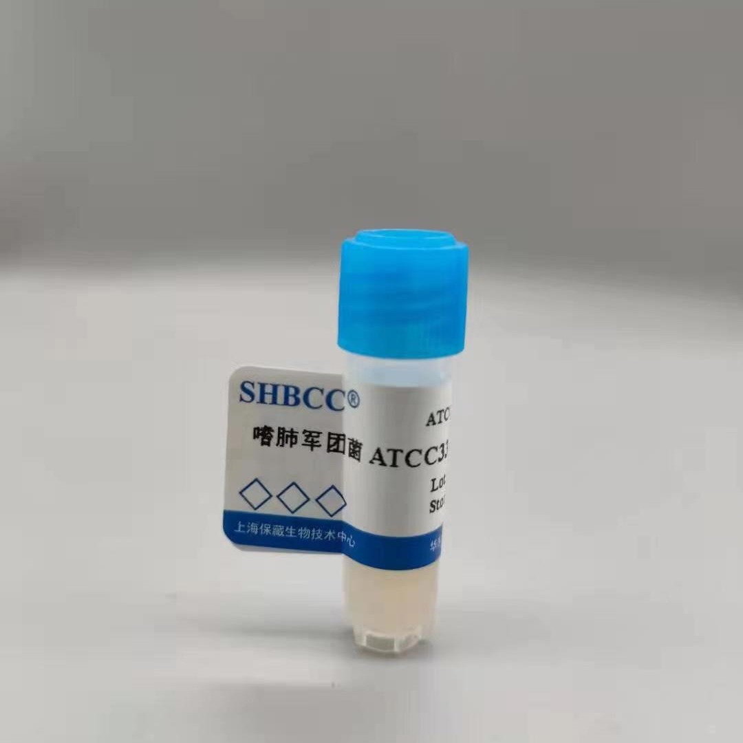 海水产碱菌 产碱菌 产碱菌属 冻干粉 可定制 可活化  用于麻发酵 SHBCC D24585 上海保藏图片
