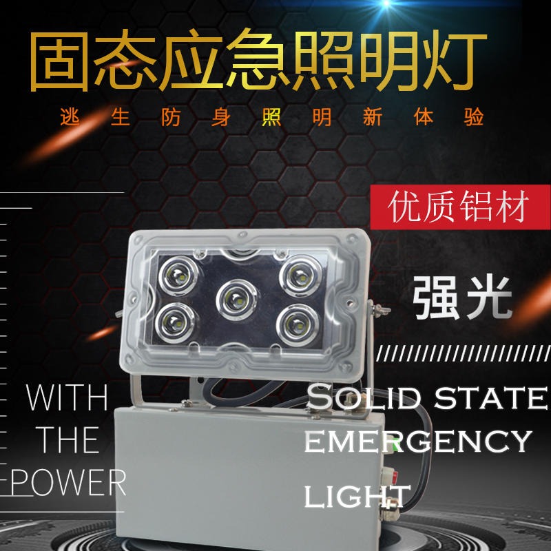 洲创NFW9189免维护固态应急照明灯 电厂三防低顶灯 壁挂式LED应急灯