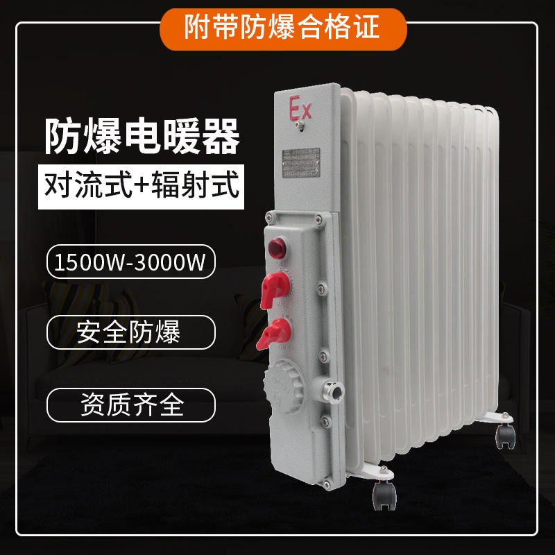 防爆电暖器 防爆油汀取暖器 防爆辐射式电暖器 防爆对流式电暖器 隔爆工业电暖气 FB-1500W