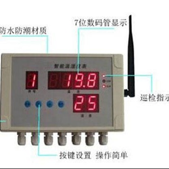 zx智能温湿度表（含一个温度探头，一个湿度探头） 型号:HJ031-WSD-4  库号：M401187图片
