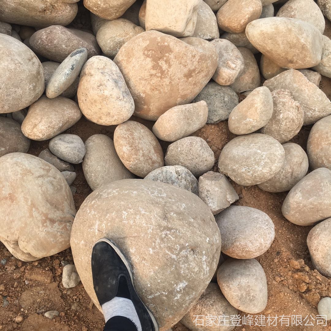 鹅卵石厂家供应 观赏鹅卵石 河北生产鹅卵石 椭圆鹅卵石 品质可靠图片