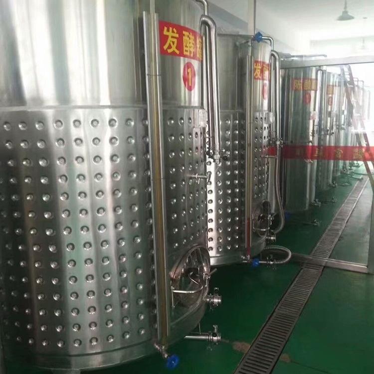 液态菌种发酵罐 乳酸菌啤酒发酵罐 信泰 厂家供应