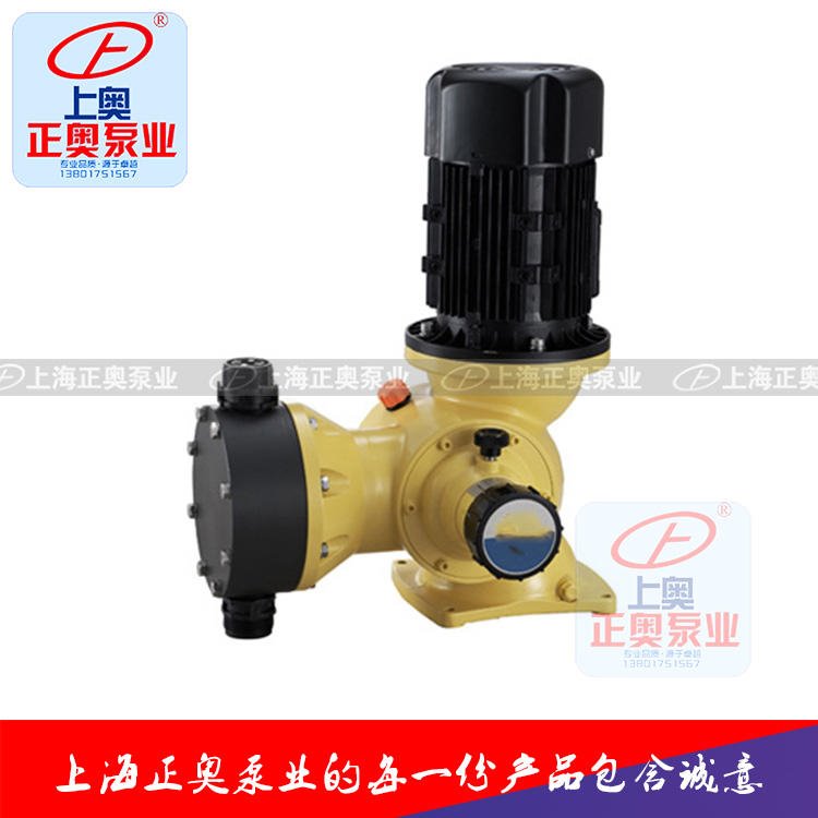 上海正奥GB系列隔膜式计量泵 不锈钢计量泵