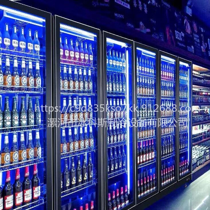 广州全屏展示柜 饮料柜 立式啤酒冷藏保鲜柜 商用双门冰箱 三门冷柜 未来雪冷柜WLX-QP-04图片