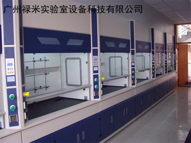 全钢通风橱品牌厂家 广州禄米实验室通风柜价格低 质量有保障LUMI-TF48Q