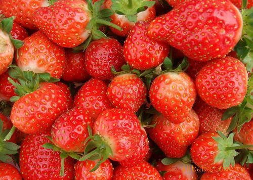 陕西新天域生物  草莓粉 草莓浓缩喷雾干燥粉 现货包邮图片