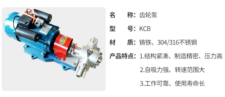 KCB-18.3卧式齿轮泵 卫生级不锈钢齿轮泵 工业型齿轮油泵示例图4