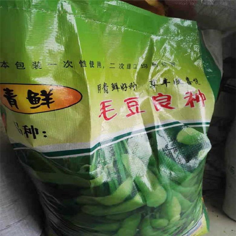 无中间商销售 羽扁豆种子 博伦种业出售优质基地 种子大量现货批发 