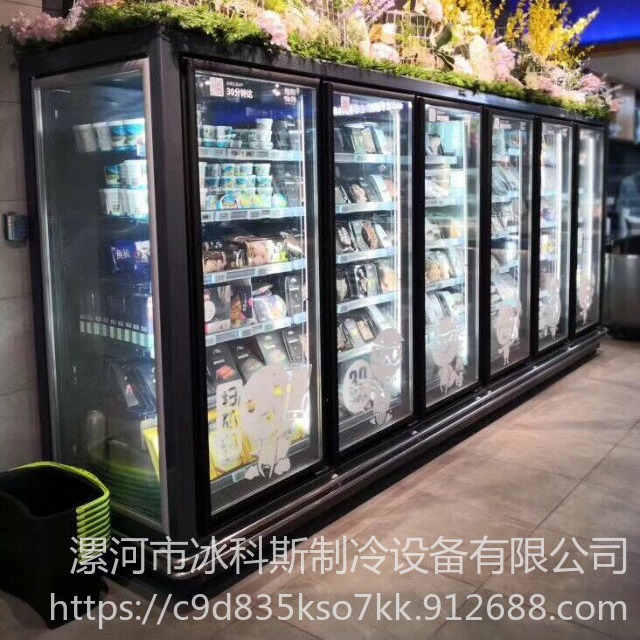 冰科斯-WLX-LSLD-31玻璃门立式冷冻柜,风冷速冻展示柜,海参冷冻展示柜