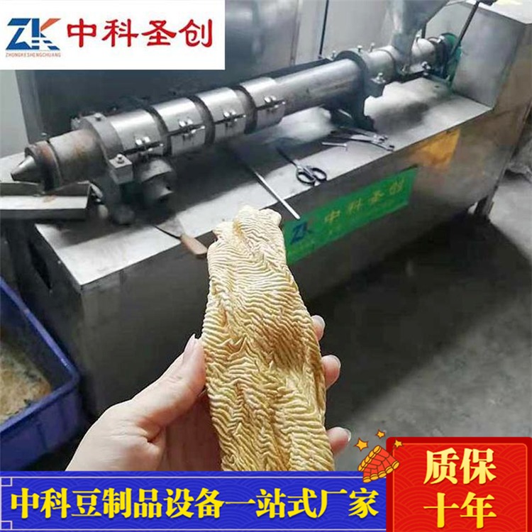 自动人造牛排机 邯郸电加热自动出料牛排豆皮机 中科质保十年
