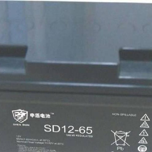 申盾蓄电池SD12-65 直流屏免维护 储能应急蓄电池 申盾12V65AH图片