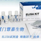 ELISA试剂盒 大鼠白三烯B4(LTB4)ELISA试剂盒 慧嘉生物