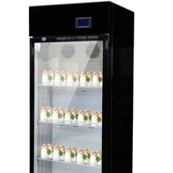 郑州浩博商用酸奶机 270升大容量酸奶机 酸奶自动发酵机