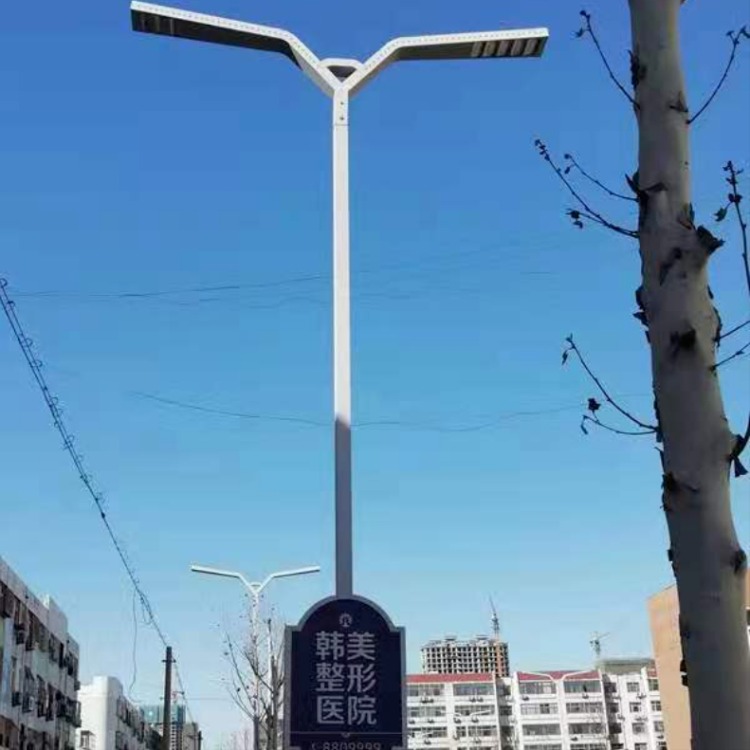 鑫永虹路灯厂家批发 户外大型玉兰造型景观路灯 太阳能智慧路灯图片