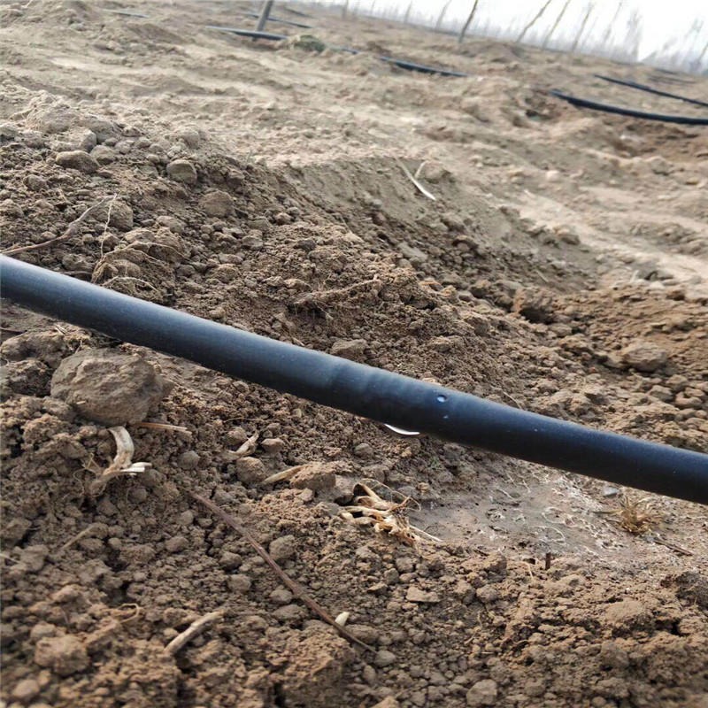 菏泽市定陶区绿化树灌溉设备 内镶式圆柱型滴灌管  滴灌带