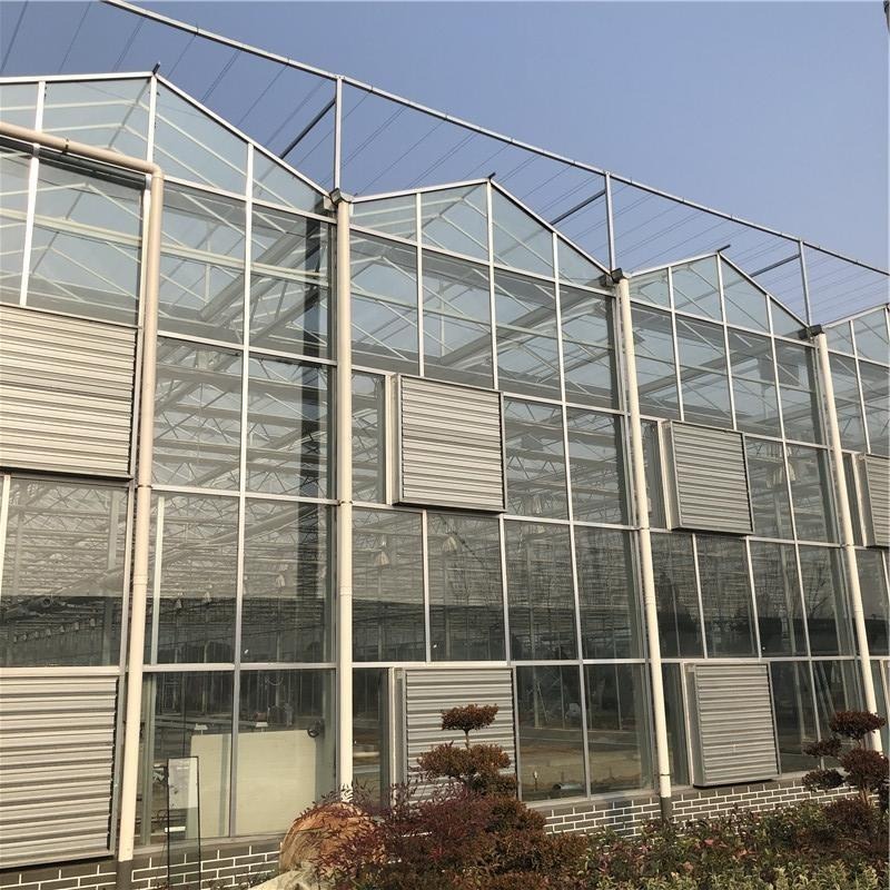 玻璃温室 花卉玻璃温室 多规格玻璃温室定制 博伟
