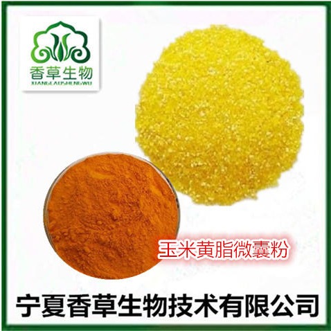 玉米黄脂微囊粉 玉米黄素 黄玉米皮提取物 玉米提取物浓缩粉