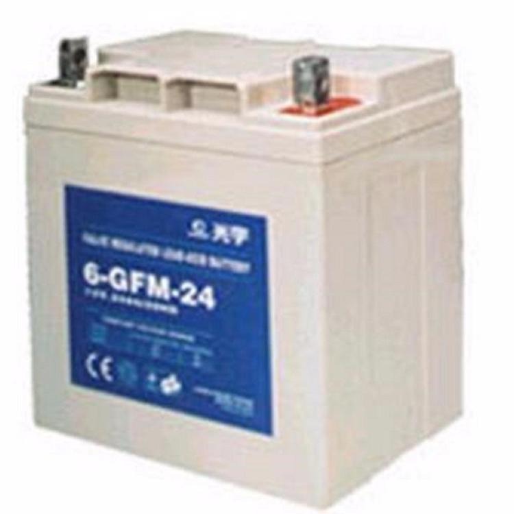 光宇蓄电池6-GFM-24  密封阀控式12V24AH铅酸免维护蓄电池 UPS电源专用