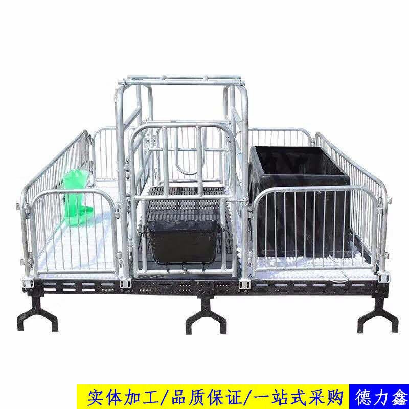 母猪产床   养猪设备厂家 质量保障价格优惠  广东省养猪设备厂家图片