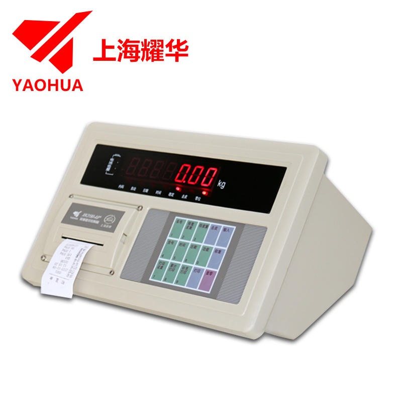 上海耀华XK3190-A9+称重仪表 大地磅显示器汽车衡表头 打印仪表 A9+P带打印图片