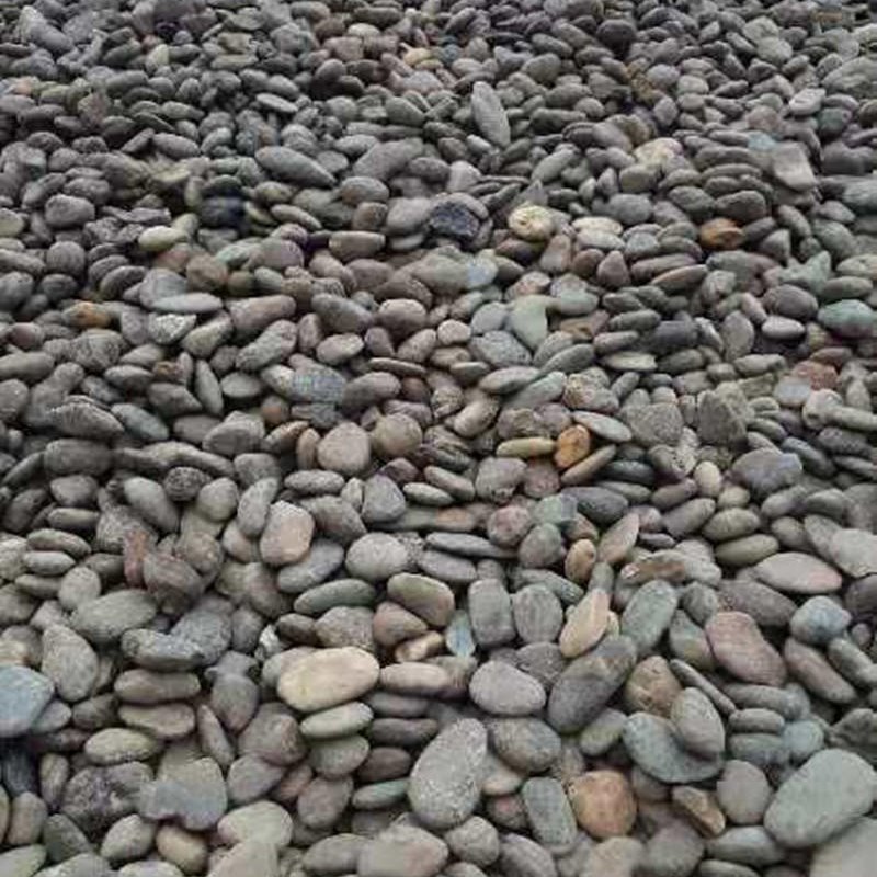 昌奇天然鹅卵石 石头家装铺路地暖专用豆石找平回填小石子滤料水处理