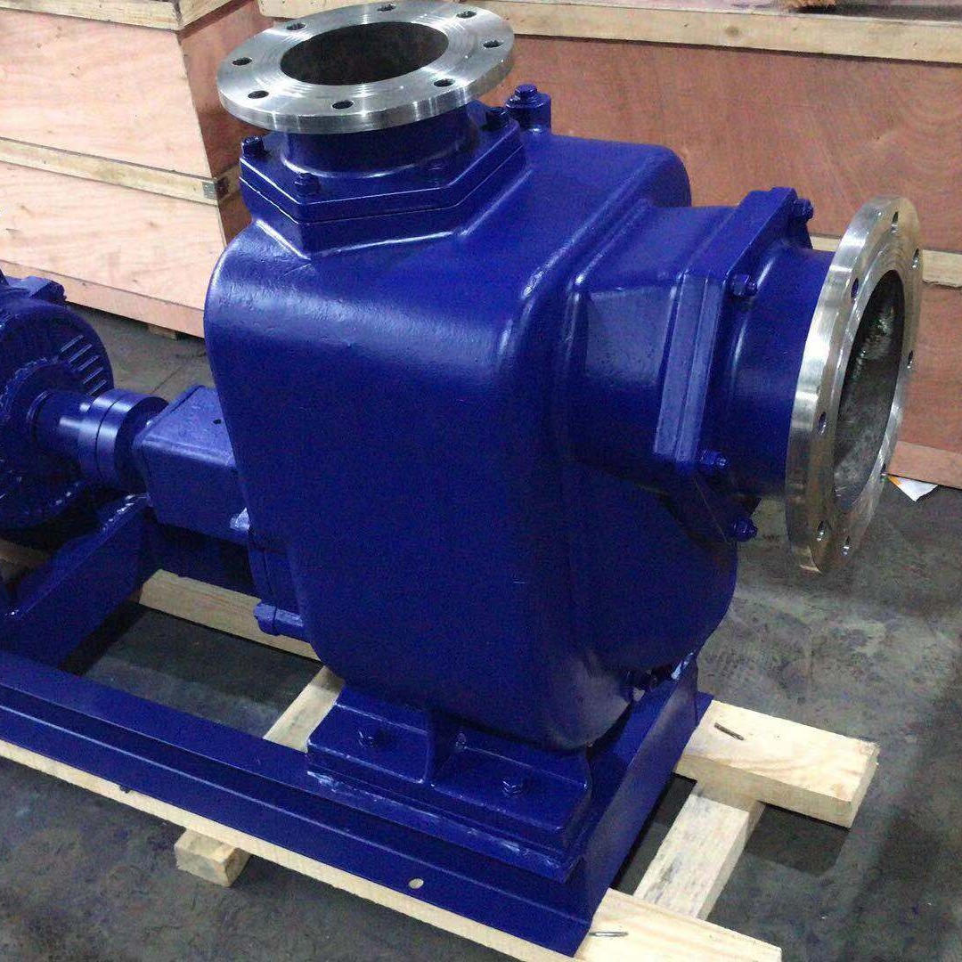 蓝升泵业厂家直销80ZW40-50自吸无堵塞排污泵  ZWP不锈钢自吸排污泵  80ZWL40-50直联式自吸泵