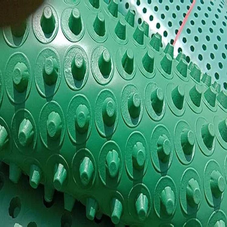 泰安排水板厂家 排水板价格 屋面种植滤水板 泰安塑料排水板 2公分高蓄排水板图片