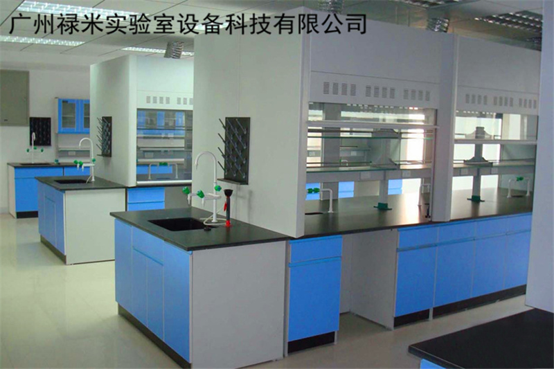 禄米实验室设备 广东桌上型通风橱加工厂 LUMI-TF15Z 钢板表面处理为磷化后喷塑浅灰色