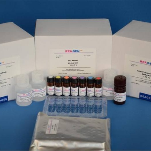 人C反应蛋白试剂盒 CRP试剂盒 C反应蛋白ELISA试剂盒图片