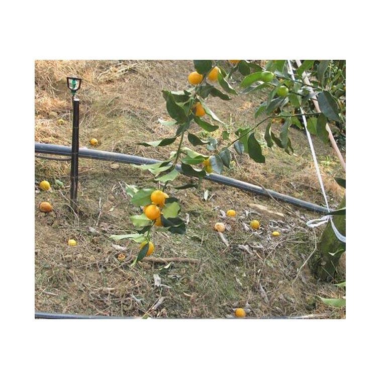 山地柑桔喷灌灌溉工程安装与施工 柑桔园微喷灌节水工程施工设计报价