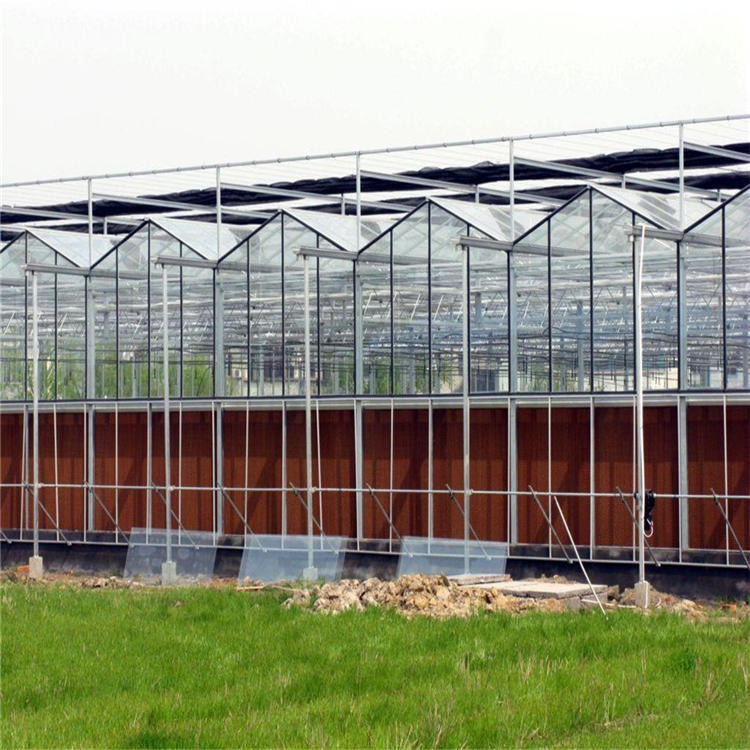 玻璃温室 盆景玻璃温室 生态玻璃温室大棚 博伟