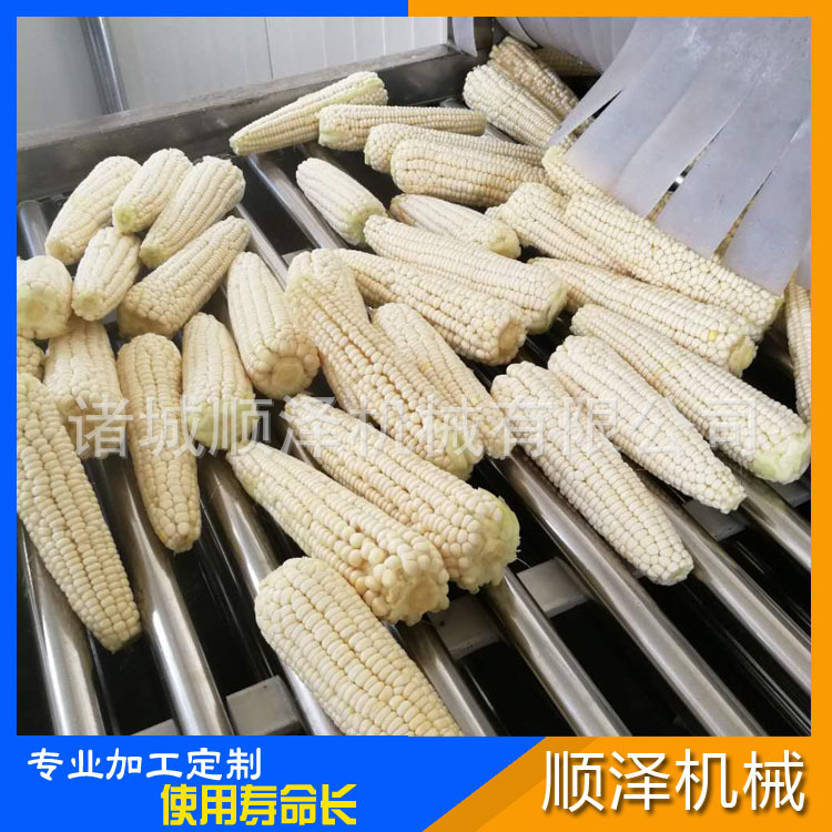 顺泽销售 玉米清洗机 玉米漂烫杀青机 速冻玉米加工设备示例图5