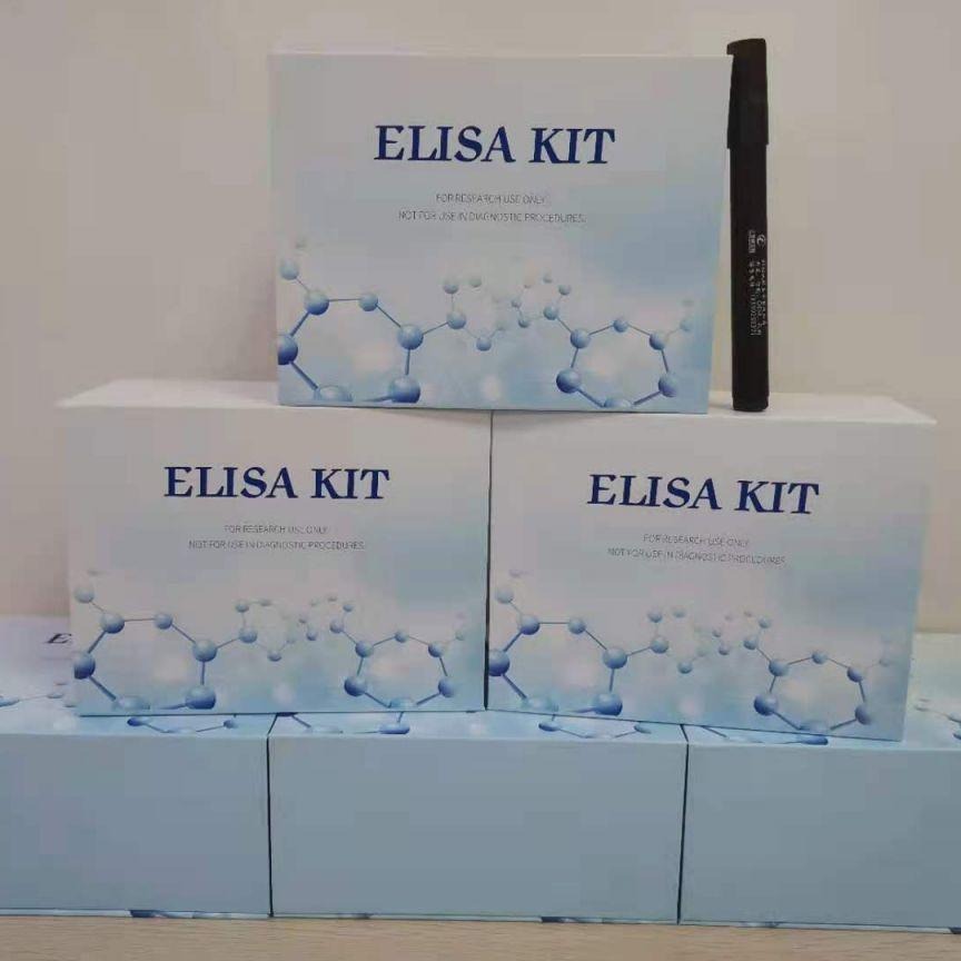 小鼠白细胞介素4试剂盒   IL4 elisa试剂盒 仑昌硕生物