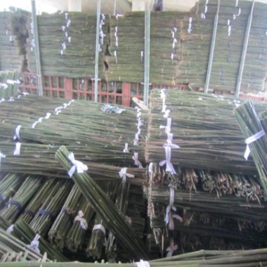 京西竹业  绑杆厂家批发供应绑扶枸杞树苗用的竹竿