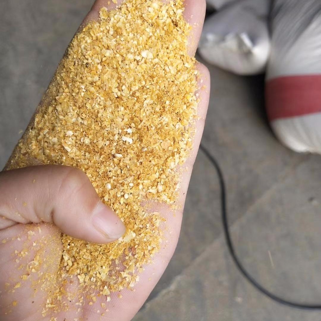 喷浆玉米皮厂家供应优良金黄色喷浆玉米纤维 玉米皮 玉米喷浆皮图片