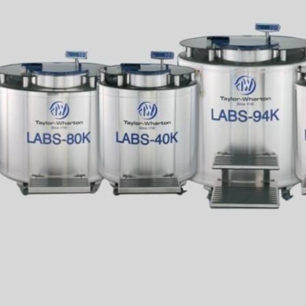 泰来华顿液氮罐LABS-40K 气相罐 生物样品储存罐 低温罐