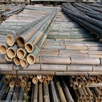 京西竹业批发2米2.5米3米4米5米6米竹竿尖 竹杆尖