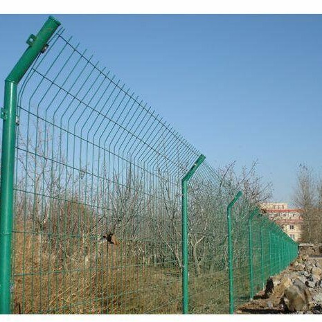 池塘养殖水产品专用绿色铁丝网围栏网武汉生产厂家