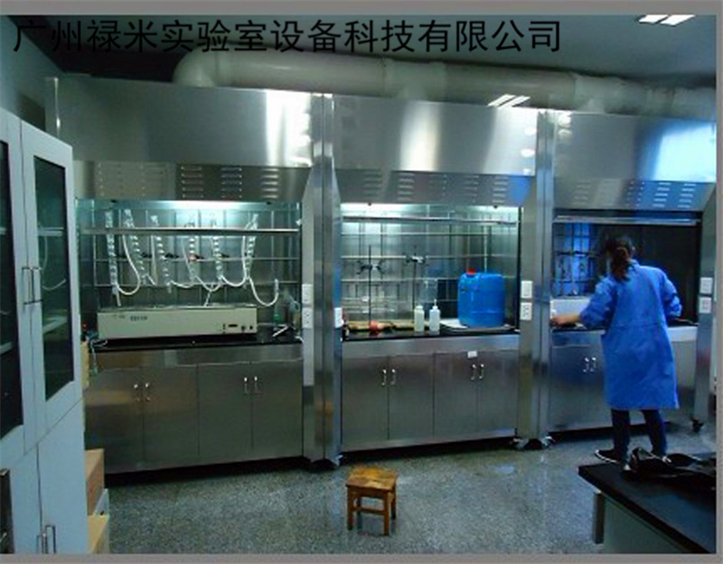 禄米 实验室生产 不锈钢通风柜 高品质 耐腐蚀 实验室操作摆放柜 LUMI-TFG924S