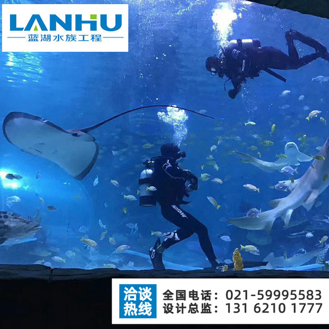 lanhu亚克力海底隧道 承接大型海洋馆隧道设计 有机玻璃鱼缸定制