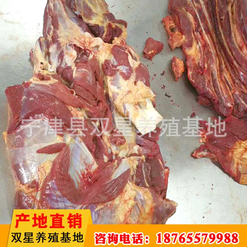 厂家进口蒙古马肉 传统美味食品马后腿肉现场现杀冷冻批发示例图17