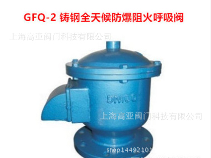 GFQ-2 铸钢全天候呼吸阀 储罐呼吸阀DN25 32 40 50 65 80 100