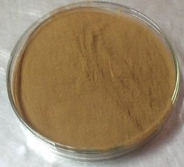 陕西新天域生物 麦芽提取物10:1 麦芽浸膏粉 生产厂家图片