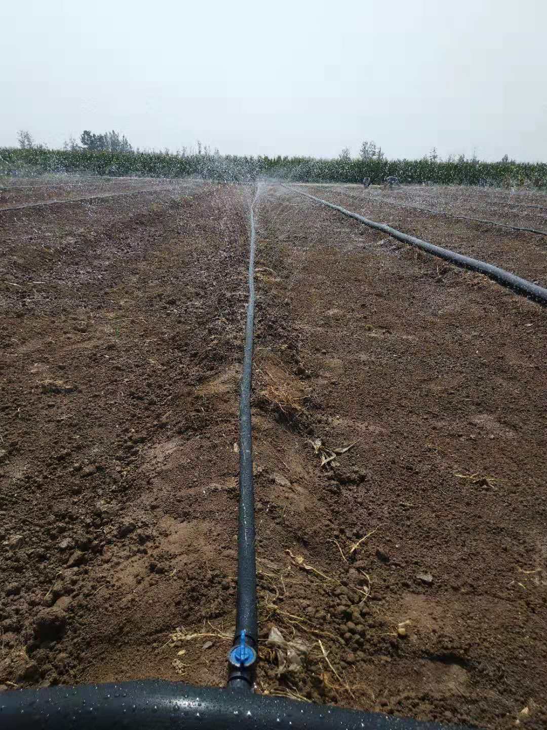 农田灌溉用洒水带子 喷灌带微喷带厂家直供示例图2