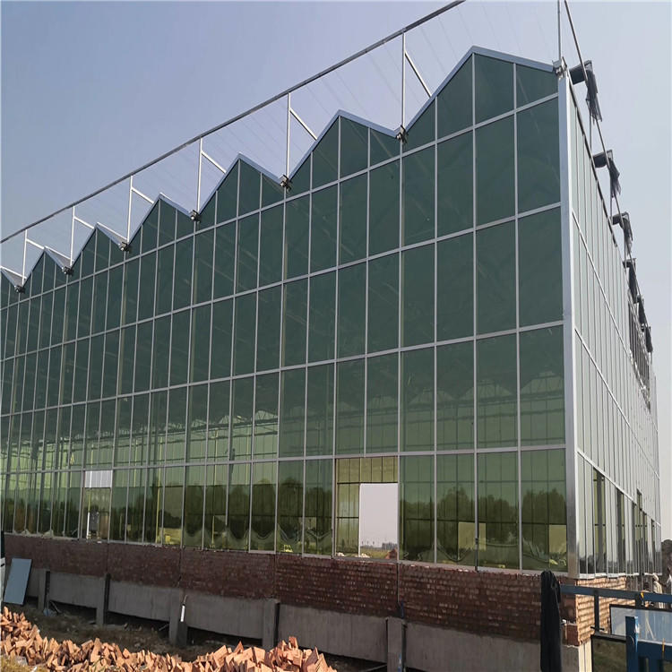 现代温室大棚价格 锯齿型温室 文洛式玻璃温室大棚 博伟 BW