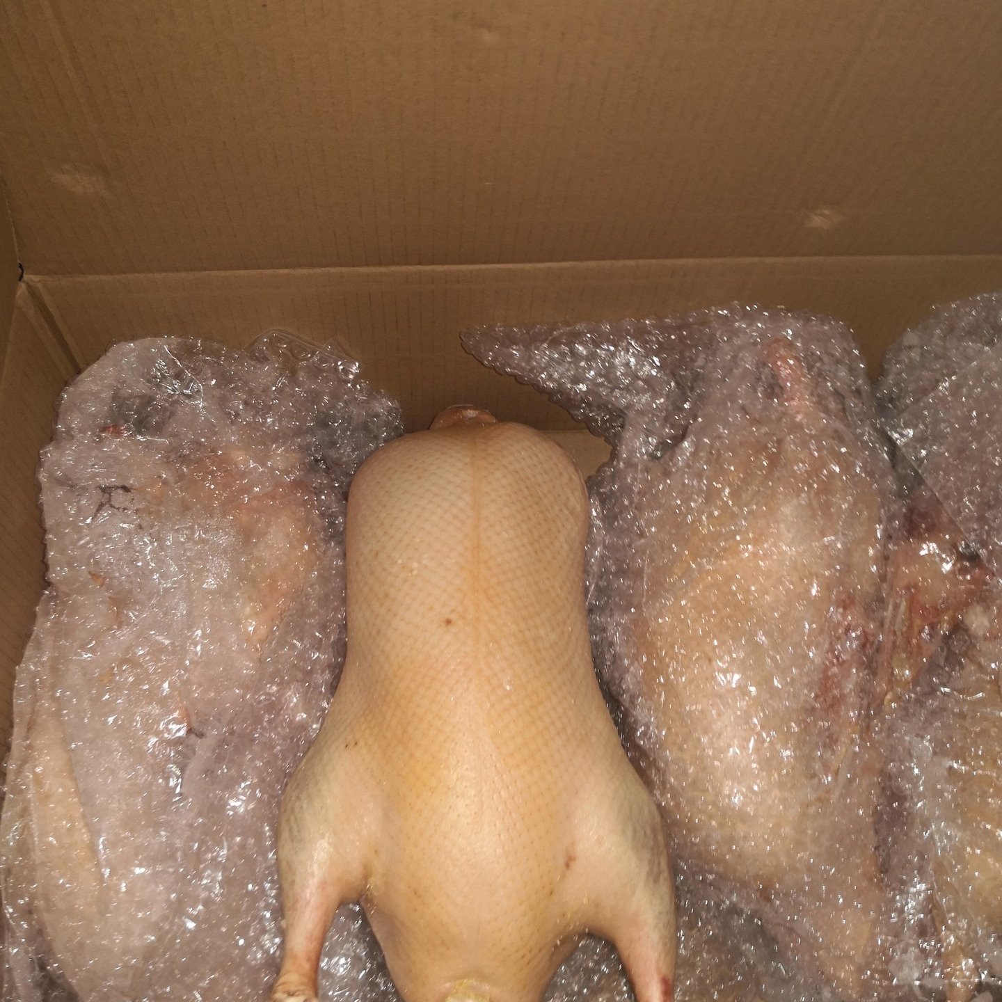厂家直销烤鸭胚半成品四系鸭坯3.9斤